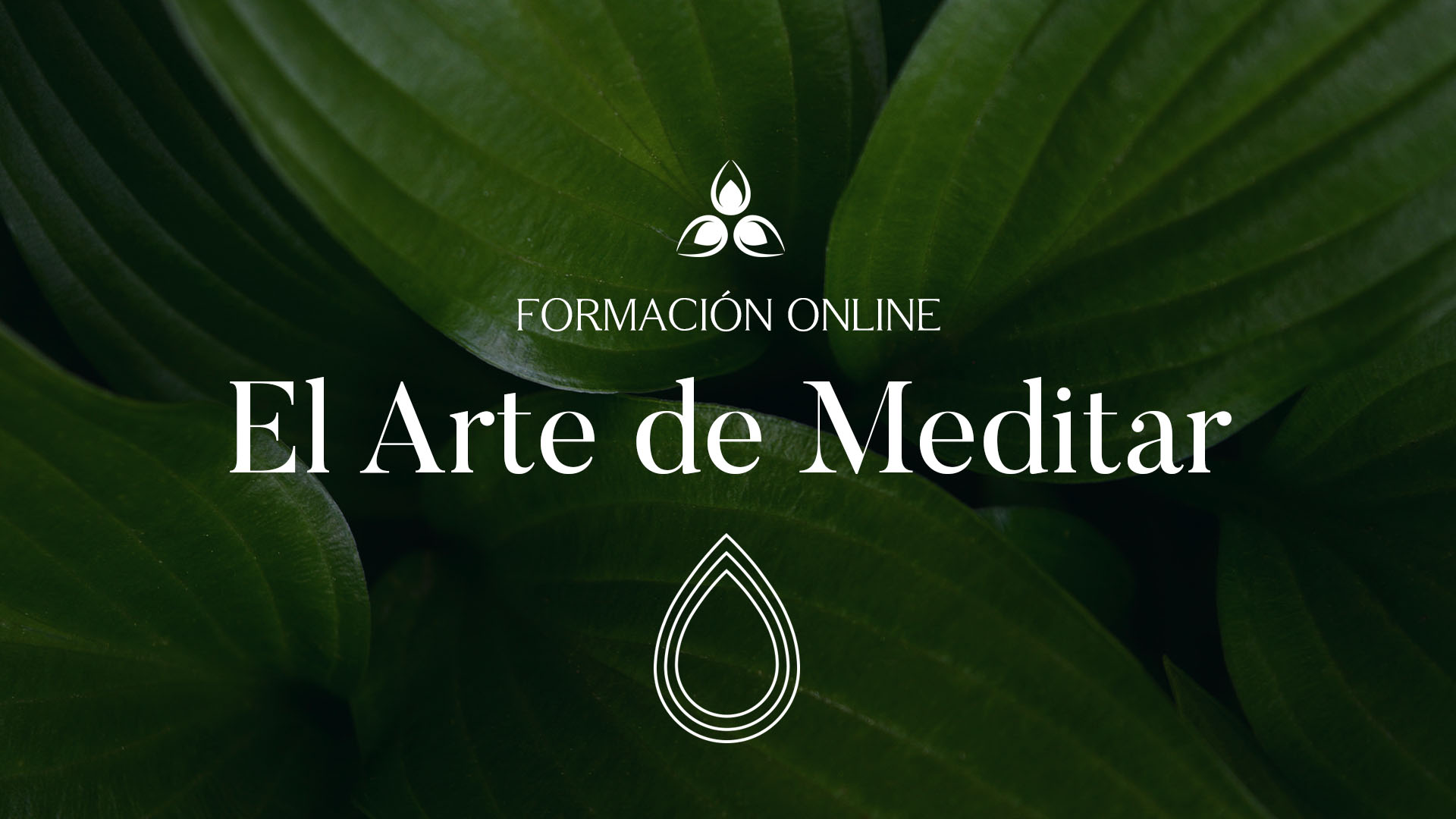 Curso de Meditación Online